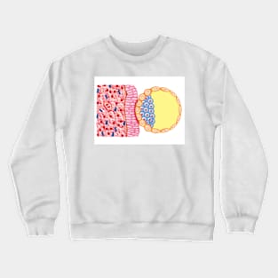 Blastocyst Formation, illustration (C025/6742) Crewneck Sweatshirt